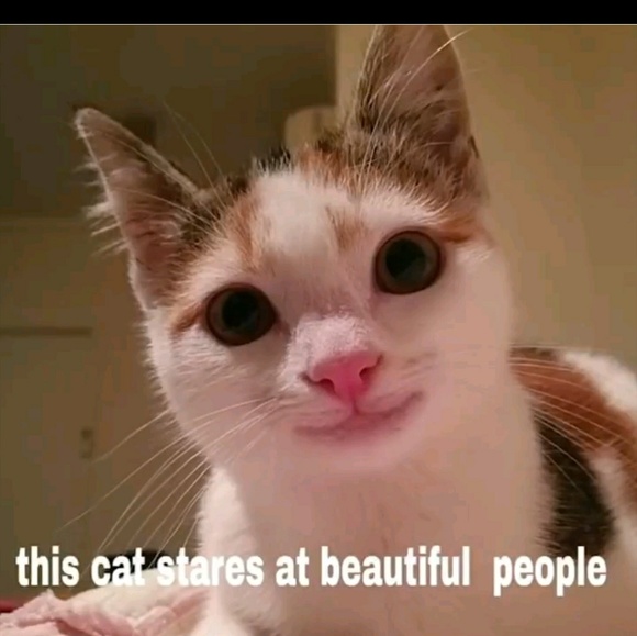 whattaweirdo